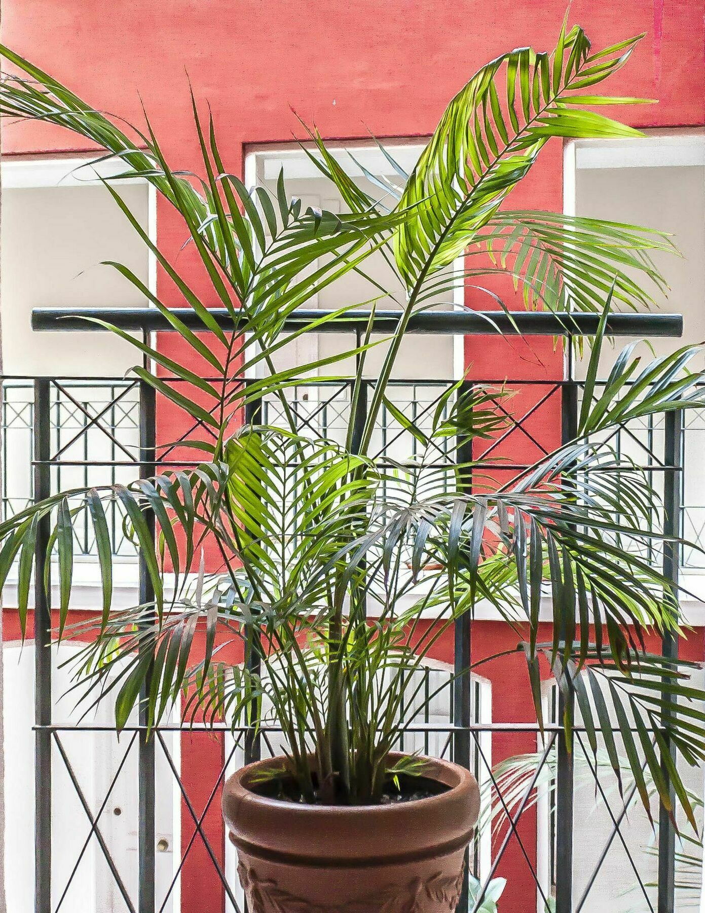 Appartement En El Centro Historico
